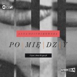 Pomiędzy, Anna Onichimowska - audiobook CD mp3