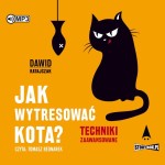 Jak wytresować kota? Techniki zaawansowane, Dawid Ratajczak - audiobook CD mp3