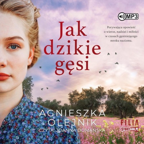 Jak dzikie gęsi, Agnieszka Olejnik - audiobook CD mp3