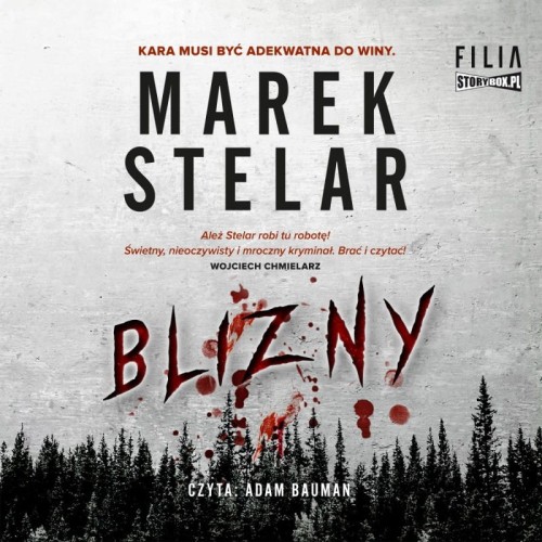 Blizny, Marek Stelar - audiobook CD mp3