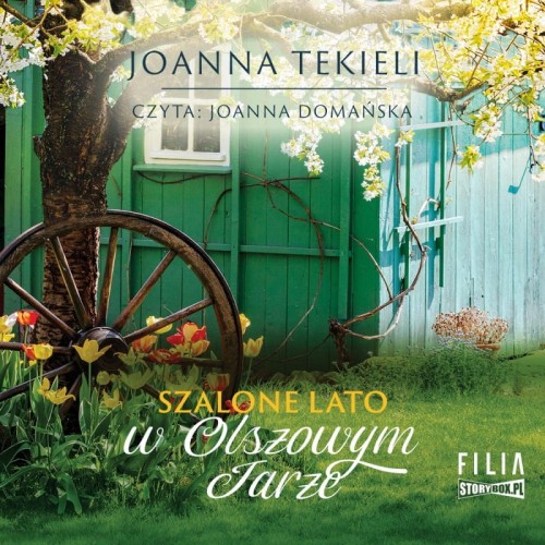 Szalone lato w Olszowym Jarze, Joanna Tekieli - audiobook CD mp3