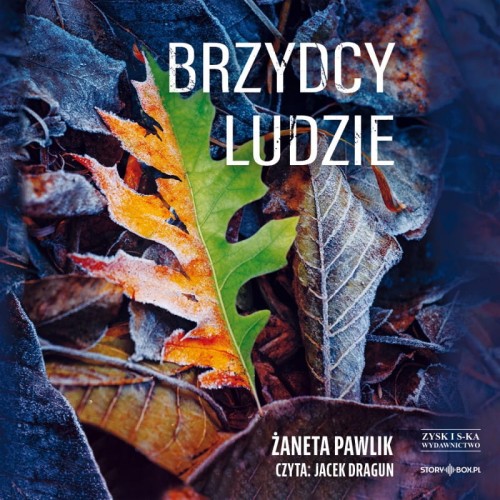 Brzydcy ludzie, Żaneta Pawlik - audiobook płyta CD