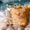 Pakiet: Gwiazdka na Zielonej 13, Piątek trzynastego. Agata Bizuk - audiobooki 2 płyty CD