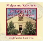 Powroty nad Rozlewiskiem, Małgorzata Kalicińska - audiobook płyta CD - mp3
