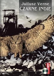 Czarne Indie, Juliusz Verne - audiobook płyta CD mp3